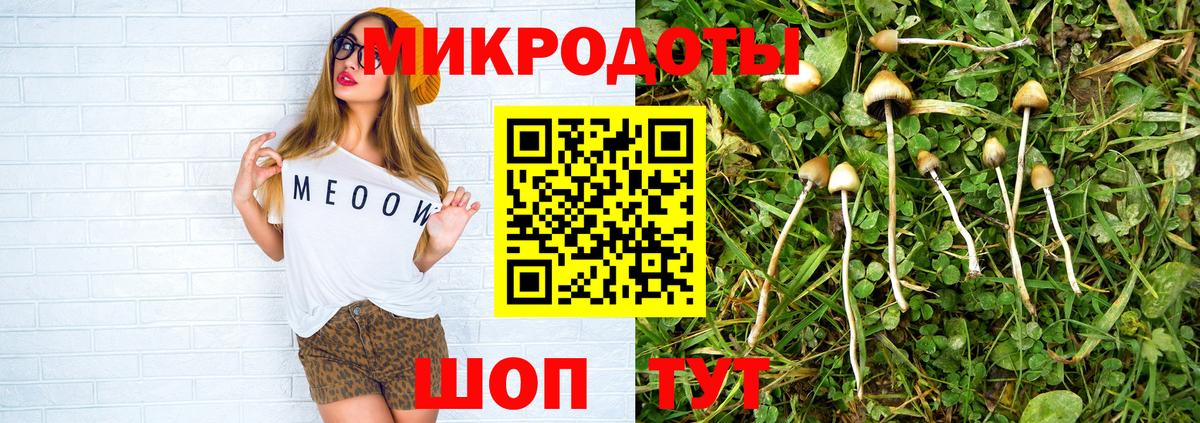 Псилоцибиновые грибы Cubensis Пушкино